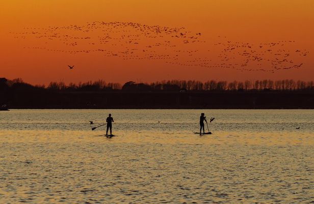 Paddleboarding in Dublin