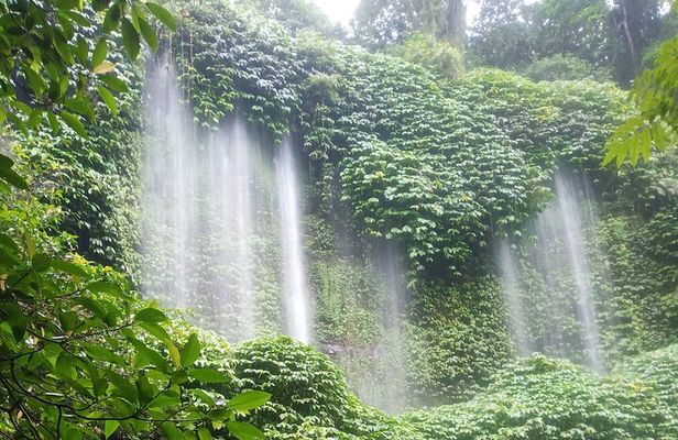 Lombok Guided Tour in Benang Stokel and Kelambu Waterfall Tour