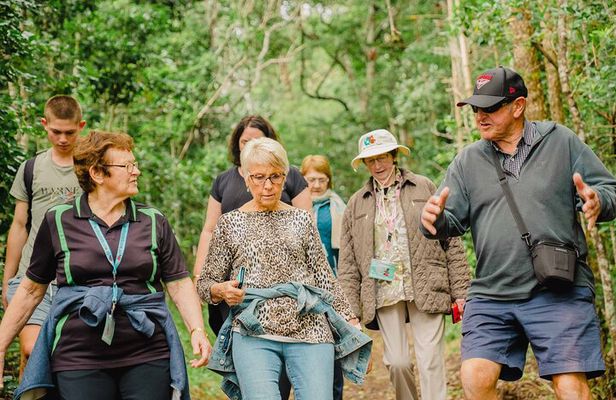 Breakfast Bushwalk & Clifftop BBQ Tour