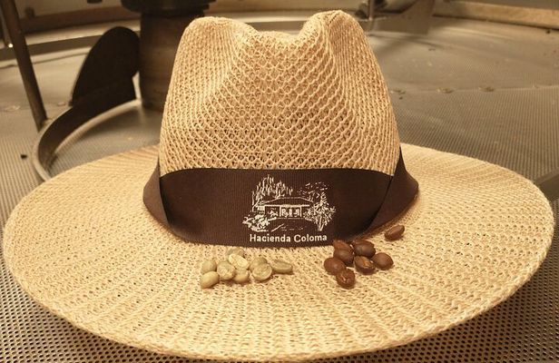 Private Experience in Coffee Hacienda: From Plant to Cup