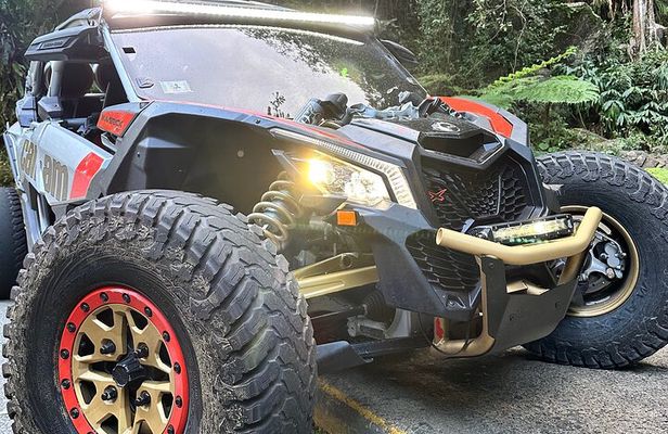 3-Hour Private UTV Tour in San Juan