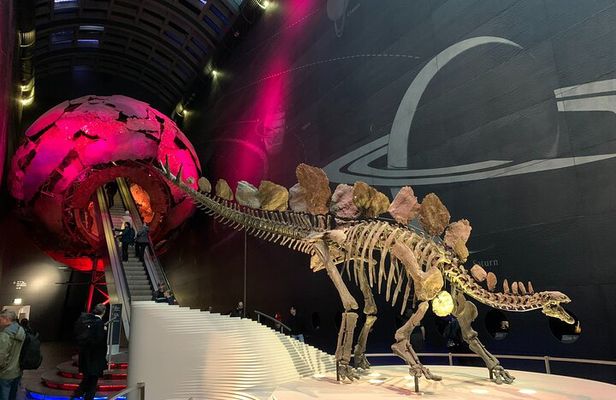 Private Guided Tour of Natural History Museum - Skip the Line