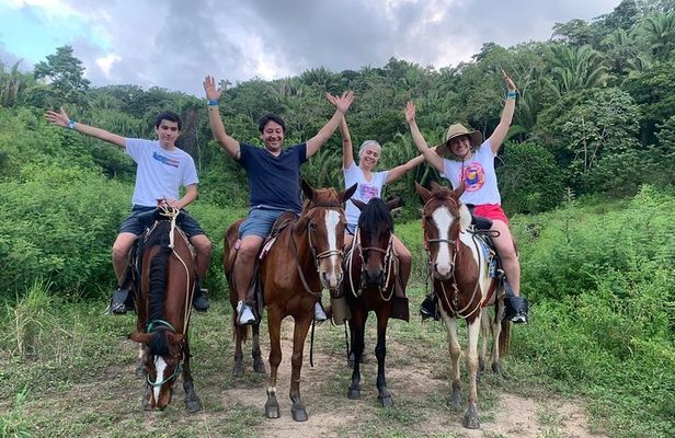 1 HR Horseback riding + Sloths, Island Tour & Beach Break 