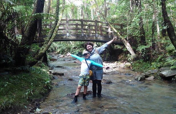 Jungle River Trek: private tour in Yanbaru, north Okinawa