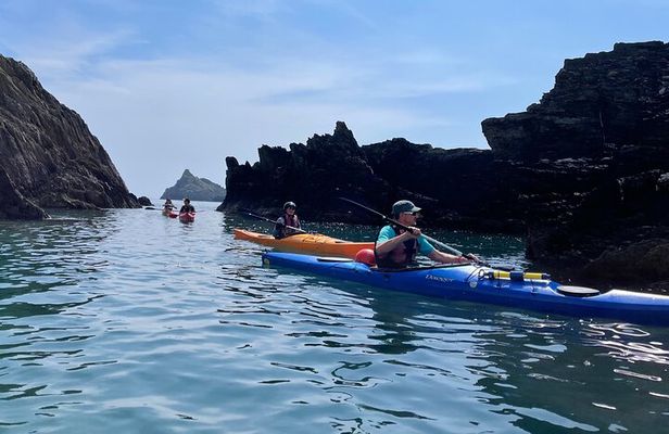 Half Day Sea kayak Guided Tour