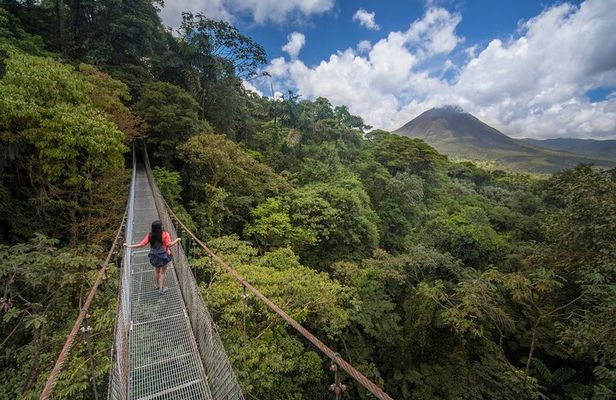 Mistico Hanging Bridges Tour with Lunch and hotsprings