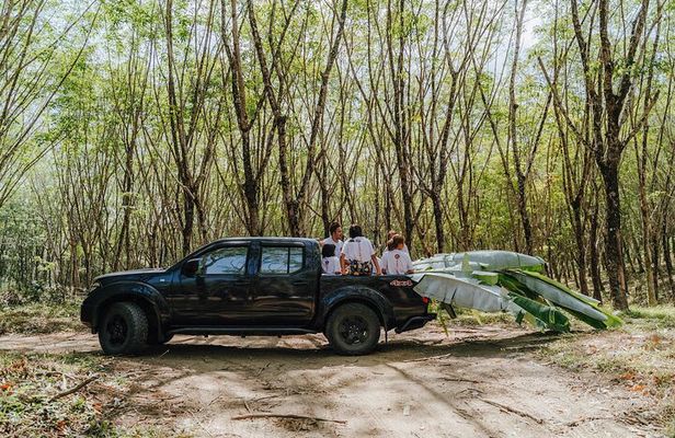 Khaolak Elephant Sanctuary, Cooking Class and Waterfall Tour