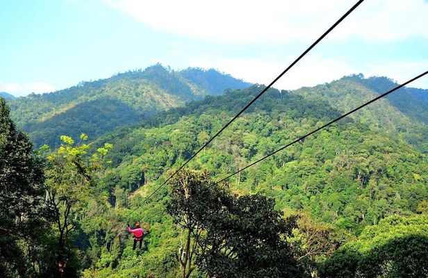 Chiang mai Private Tour Zipline Mae Kam Pong and Nature Hotspring