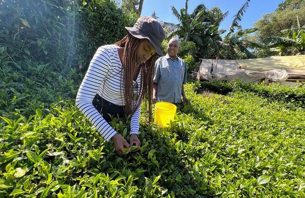 Agro-Tourism Tea Workshop in Nandi Hills