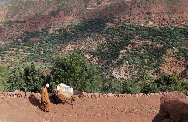 2 Day Private Trekking at Berber villages in Atlas Mountains