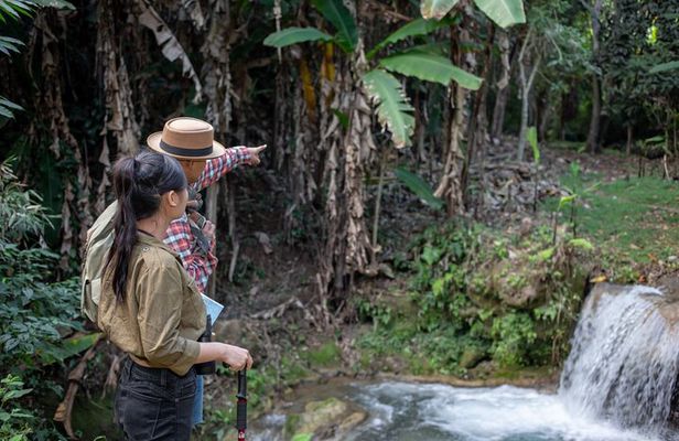 Khaolak Elephant Sanctuary, Cooking Class and Waterfall Tour