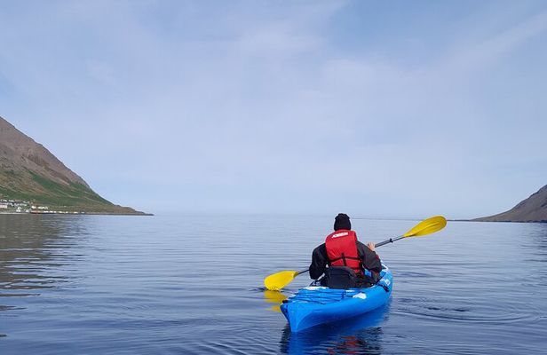 Private: Guided kayak tour in Siglufjörður / Siglufjordur.