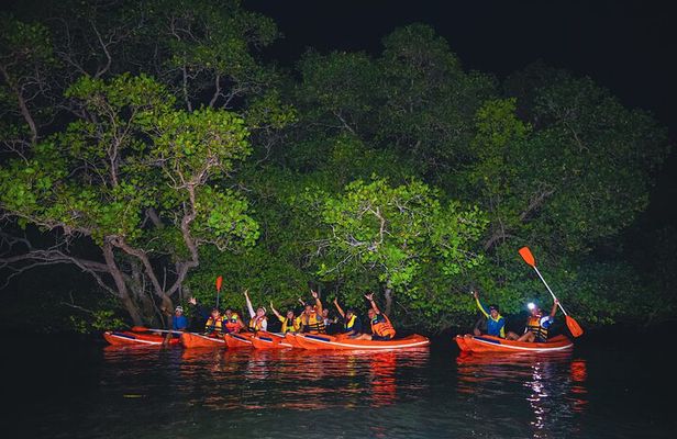 Evening Bali Mangrove Canoe Tour