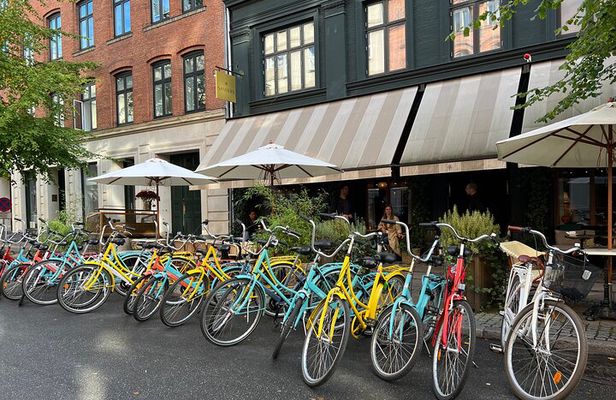 Bike Tour Copenhagen. Private Guide, Concierge Service, Small Grp