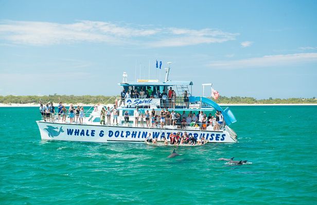 Port Stephens: Splash 'n' Slide Dolphin Cruise
