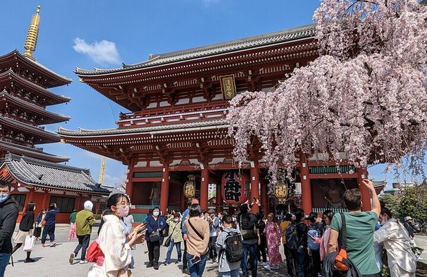 Tokyo Private Car Tour: Professional Guide and Driver/Optional airport xfer