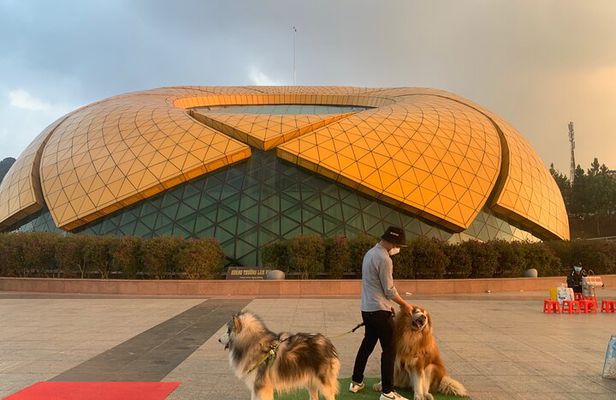 Full Day Trip - From Nha Trang to Dalat including Datanla Fall