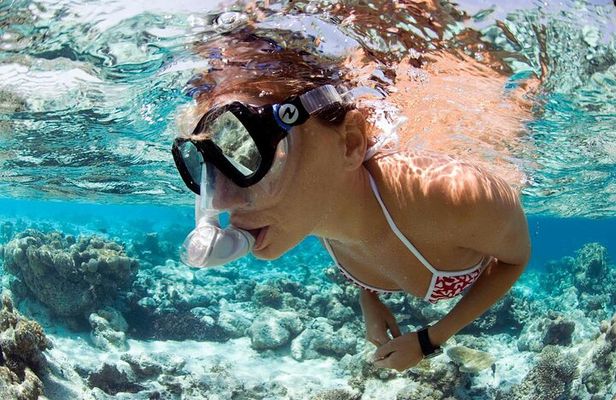 Snorkeling Tour