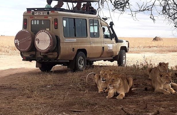 2 Days Tarangire & Ngorongoro Budget Safari Tour Tanzania