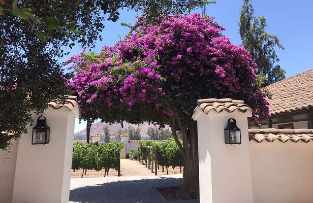 Private Tour to Viña Santa Rita