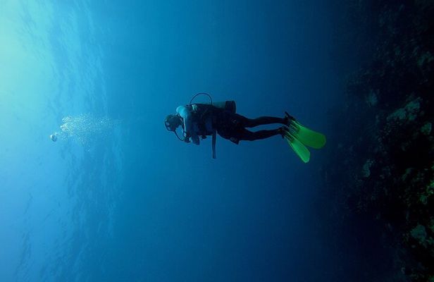Under a sea of adventures, unforgettable diving.