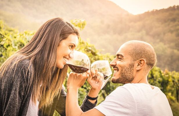 Napa and Sonoma-8-hr Private-Wine Tour from San Francisco XL SUV