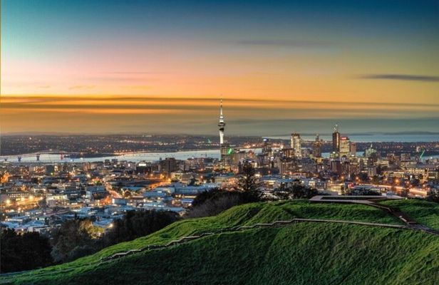 Auckland City Highlights Half Day Tour