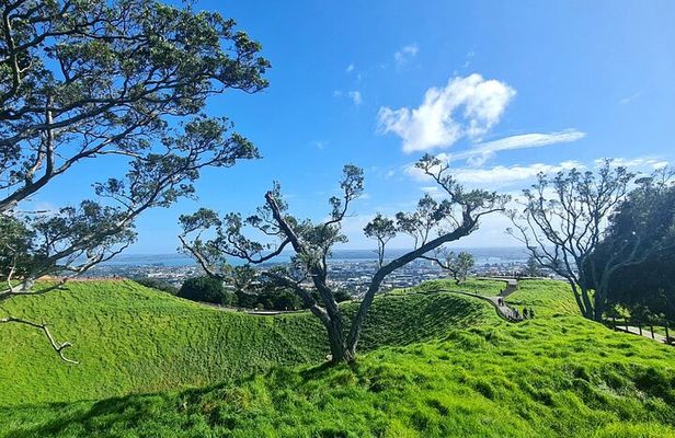 2025 Award Winning: Auckland City Highlights Half Day Tour