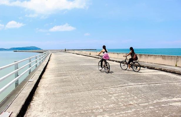 Private Half Day Cycling Tour in Langkawi