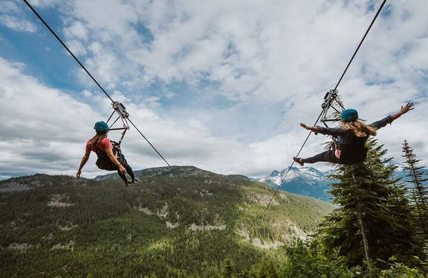 Superfly Ziplines on Cougar Mountain - includes 4 ziplines!