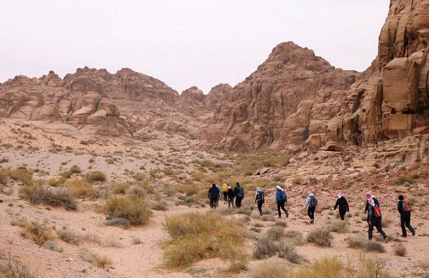 Wadi rum store hiking tours