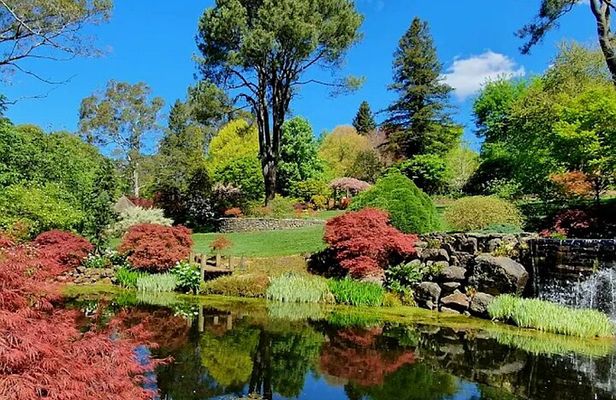 Blue Mountains Private Tour with Autumn Colors