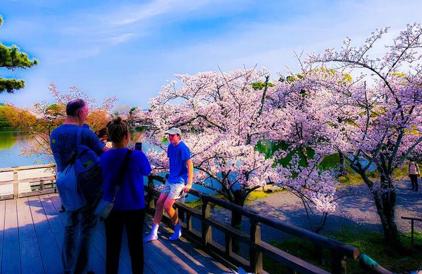 Kyoto Highlights & Hidden Gems in Nature (Private Van Eng-Guide)