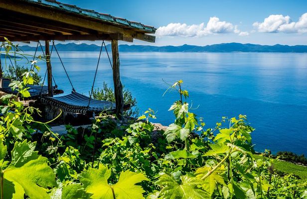 Dubrovnik's Organic Wine Experience with snack