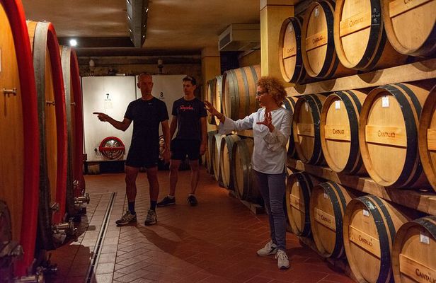 Tour of the cellar and tasting of 6 wines