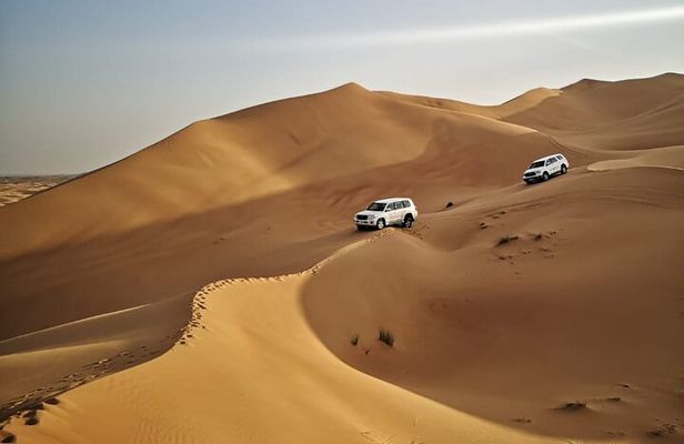4 Hours Morning Desert Safari in Dubai