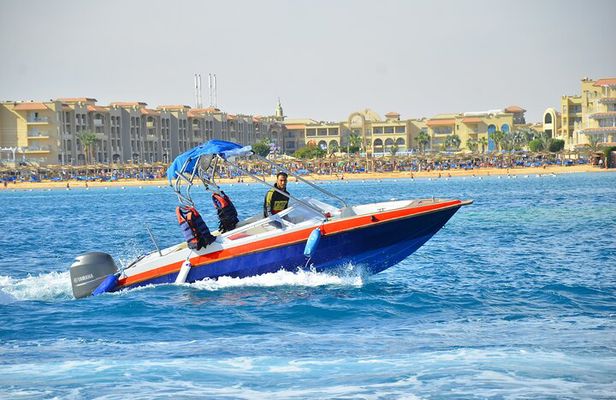 Swim With Dolphin By Semi PRIVATE Speedboat & Transfer - Hurghada
