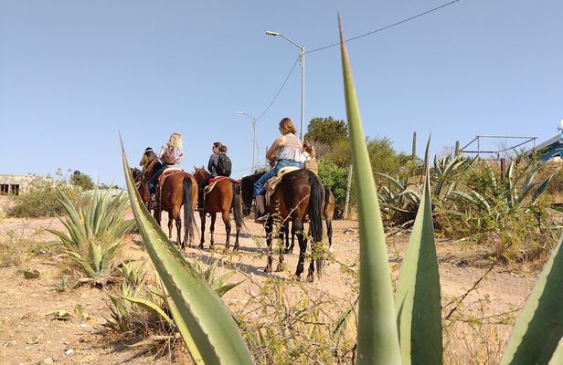 Mexican Equestrian Experience