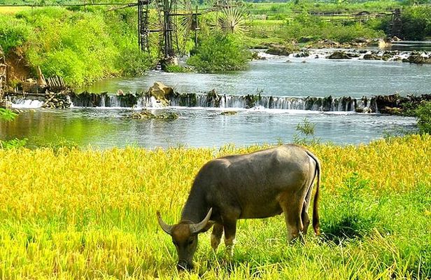 5, 6, 7 day Vietnam Itinerary | Charming | 2025 Northern Packages