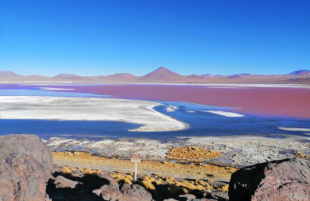 2-Day Private Tour to Salar de Uyuni and Laguna Colorada