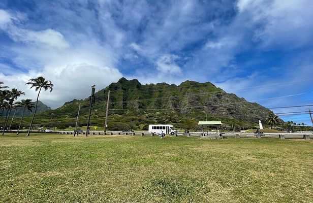 Oahu Allstar Circle Island Tour: Dole, Turtles. Blowhole, Fun