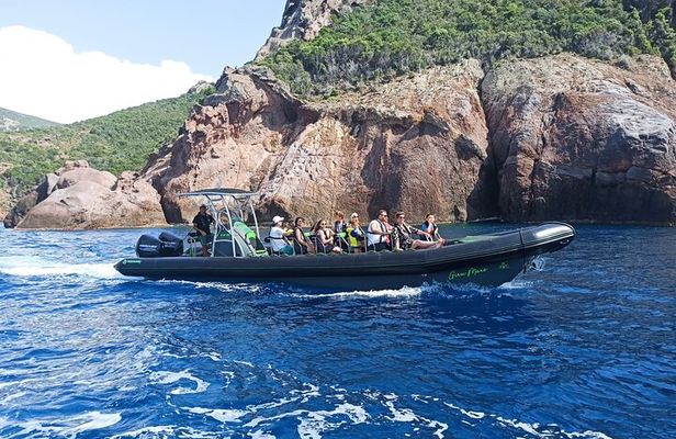 Small Committee Tour in Scandola Reserve