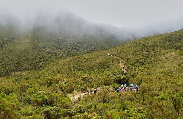 8 Days Kilimanjaro Climb Private Tour - Lemosho Route