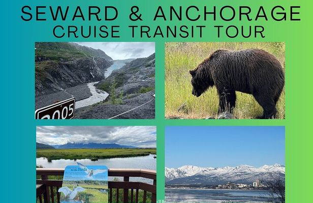 Seward to Anchorage transfer with National Park hike and AWCC