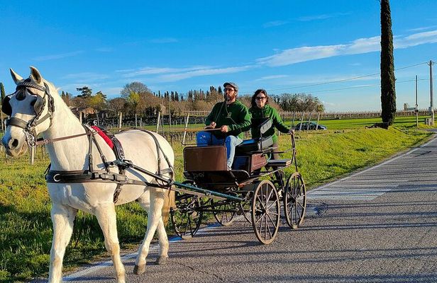 Horse Carriage Tour and Wine Tasting in Lazise