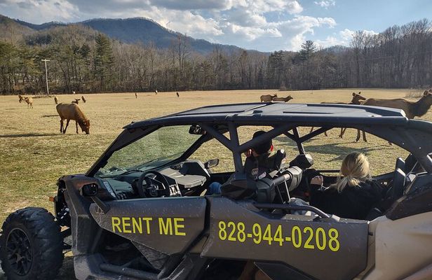 (4 HR) UTV ECO Elk Wilderness Adventure