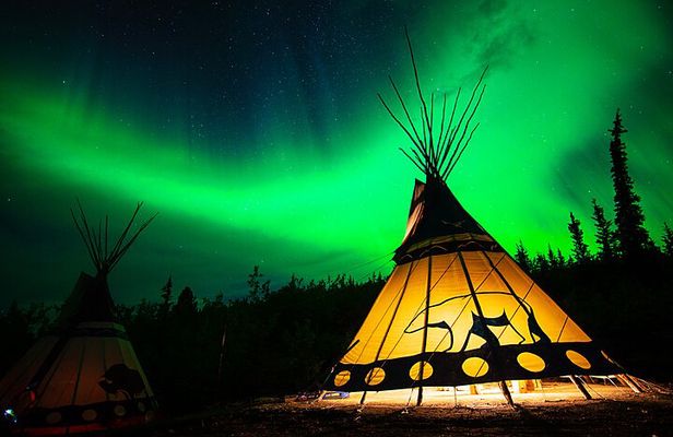 Discover Whitehorse with Northern Lights and Yukon Wildlife Tour