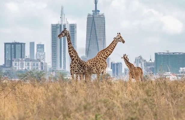 Nairobi National Park and Beads Factory Private Tour