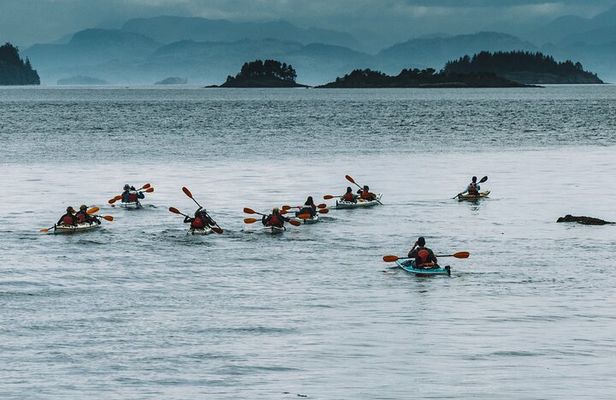 Full Day Kayaking Adventure on Vancouver Island 