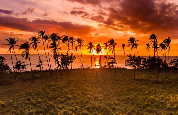 Rincon Tour Sunset & Nightlife Experience